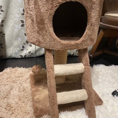 キャットタワー美品の画像