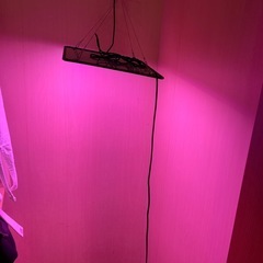 植物育成用 LEDライト