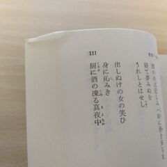 『石川啄木歌集』久保田正文編　旺文社文庫①の画像