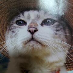友達募集