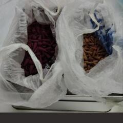 高野山　寺の住職が使用していた　お香　三角　山型　コーン型…