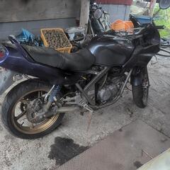 250のバイクの画像