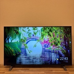 【TOSHIBA】REGZA レグザ 50V型 50C350X
