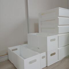 ニトリ 収納ケース 伸ばせる仕切り付き便利ケース 小型 3段・2段セットの画像