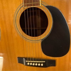 【ジャパンビンテージ】BLUE BELL W-250 アコースティックギター ケース付き の画像
