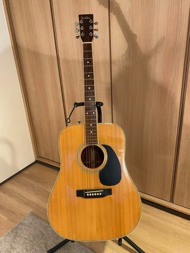 PIRLES No.G アコースティックギター ジャパンヴィンテージ