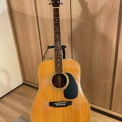 【ジャパンビンテージ】BLUE BELL W-250 アコースティックギター ケース付き の画像