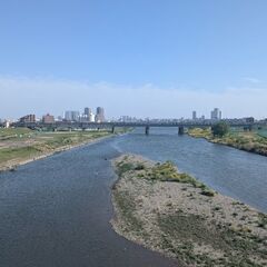 お散歩友達（都内） - その他