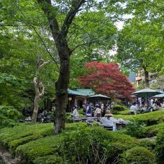 お散歩友達（都内） - 新宿区
