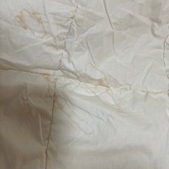 【訳あり】薄い掛け布団　の画像
