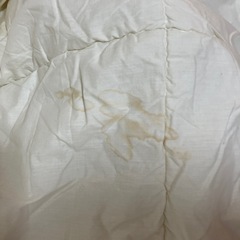 【訳あり】薄い掛け布団　の画像