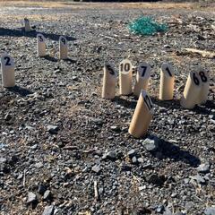 フリースクール体験入学実施中＠茨城県鹿嶋市の画像