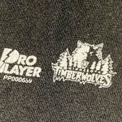 アメリカ製 ヴィンテージ NBA tee PRO PLAYER NBA ミネソタ・ティンバーウルブズ　ケビン・ガーネットの画像