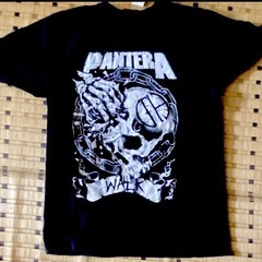 ヴィンテージ パンテラ PANTERA バンドtee ロックteeの画像