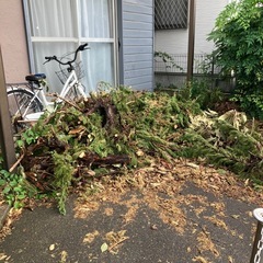 木材