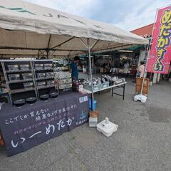【メダカ&鯉掬い・販売】7月12日(土)、20日(日)、2…