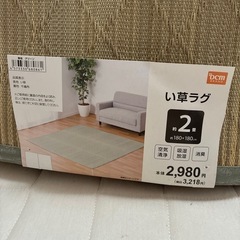 い草ラグ　2畳の画像
