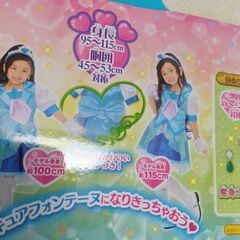 フィーリングっとプリキュア コスチュームの画像