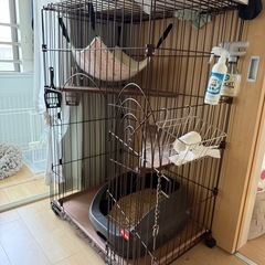 キャットタワーの画像