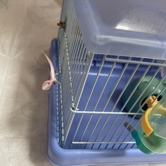 ペット、ハムスターゲージの画像