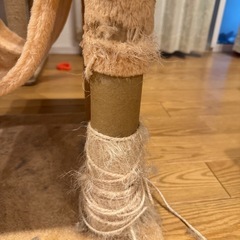 キャットタワーの画像