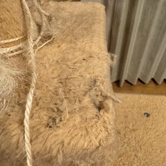 キャットタワーの画像