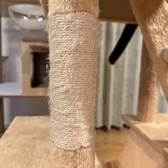キャットタワーの画像