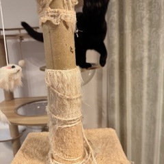 キャットタワーの画像