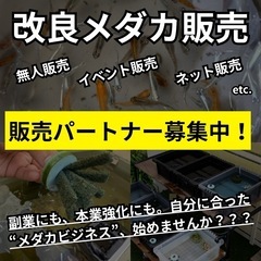 改良メダカ販売 販売パートナー募集中！ in 長岡市 無人販売 ...