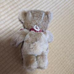クマのぬいぐるみの画像