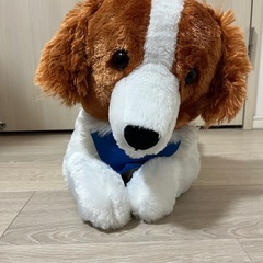 おでこちゃん　犬　ぬいぐるみの画像