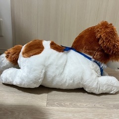 おでこちゃん　犬　ぬいぐるみの画像