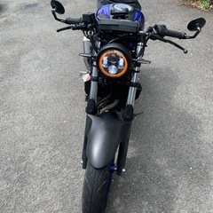 ヤマハ YZF-R25 ネイキッド ストファイカスタム RJ10J