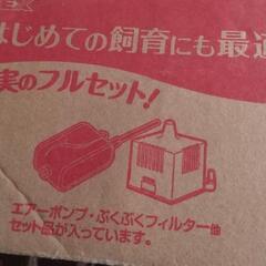 水槽飼育セットの画像