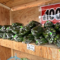 新鮮　野菜