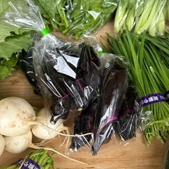 新鮮　野菜の画像
