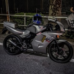 ns-1 後期