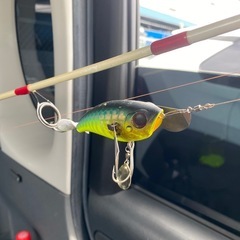 ナマズルアー　ハネモノの画像