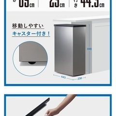 【最終値下げ】サンカ 【冷やすゴミ箱】CLEAN BOX 20L ふた付き シルバー アイスボックス クリーンボックス 冷凍の画像