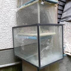 水槽　飼育槽　めだか　カブトムシ用にの画像
