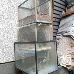 水槽　飼育槽　めだか　カブトムシ用にの画像