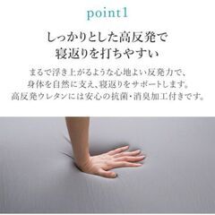 ニトリ　プレミアサポートシキフトン2の画像
