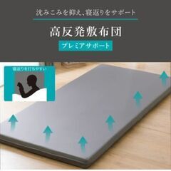 ニトリ　プレミアサポートシキフトン2の画像