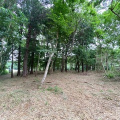 キャンプ場として森レンタル（300㎡〜450㎡）　年間利用料60...