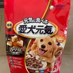 愛犬元気2.3キロ　