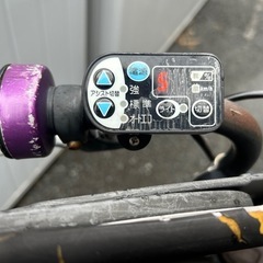 電動自転車 ブリジストン 
アンジェリーノの画像