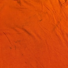 キッズ（Tシャツ）の画像
