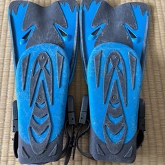 フィン25センチ前後の画像