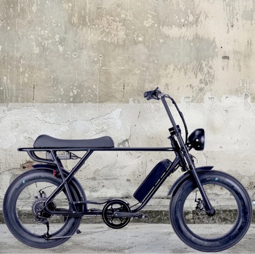 ブロンクスバギー　ebike電動自転車