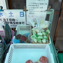 無人野菜販売　ワンコイン100円